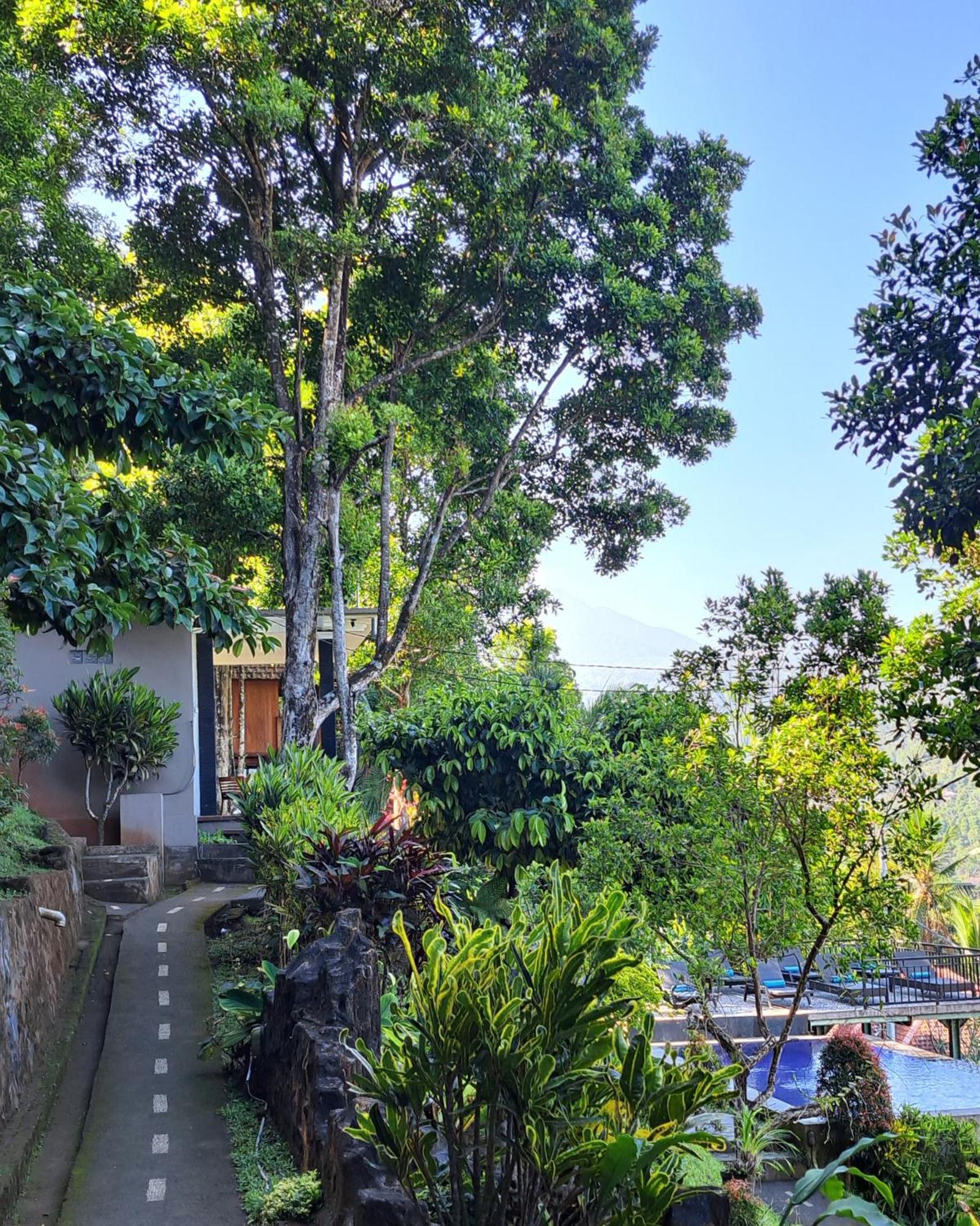 Bali Rahayu Homestay Munduk Eksteriør bilde