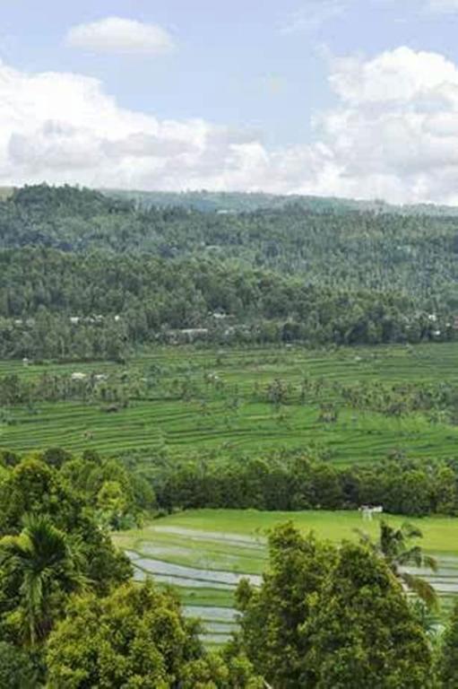 Bali Rahayu Homestay Munduk Eksteriør bilde