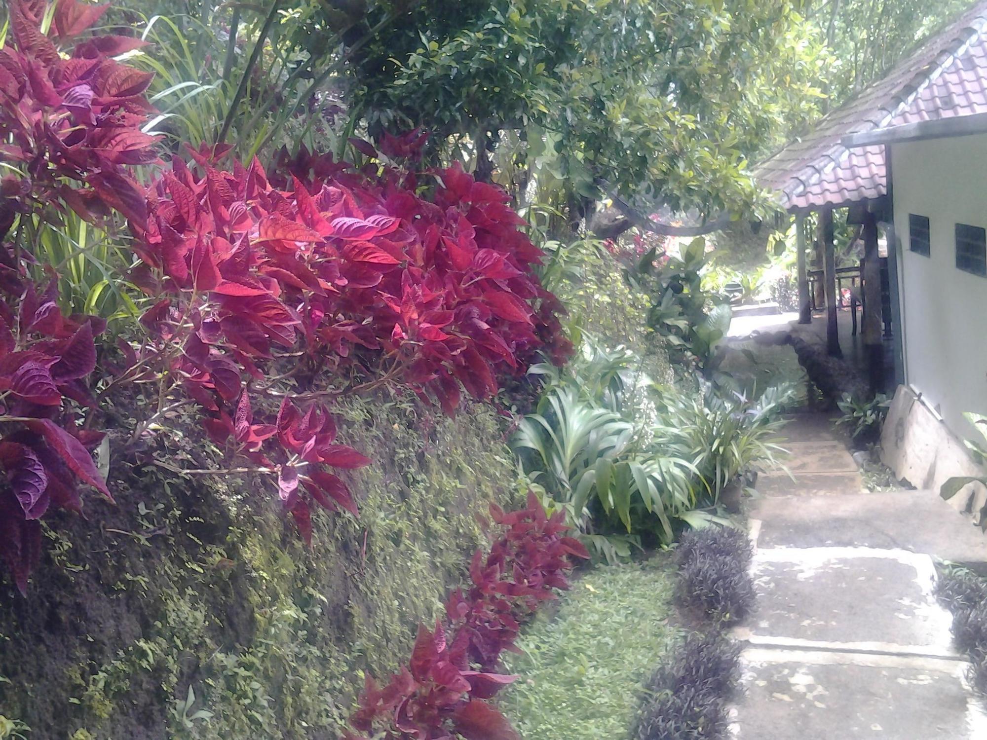 Bali Rahayu Homestay Munduk Eksteriør bilde